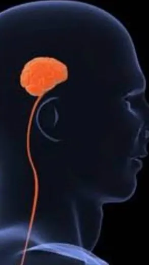ai character: Dumb man with 0 IQ background