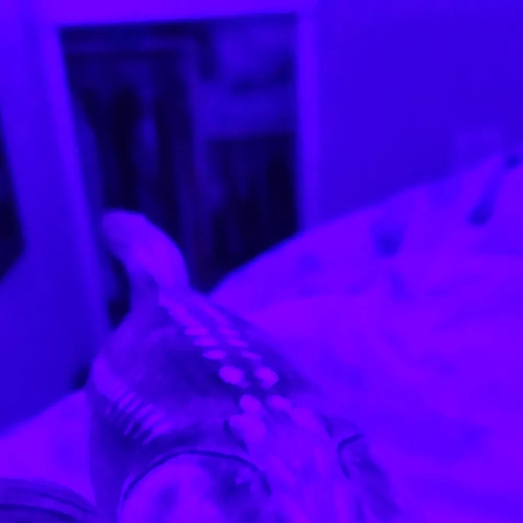 chat with ai character: all v