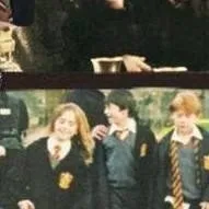 chat with ai character: Ron Weasley x y/n