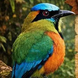 chat with ai character: Nina🤨