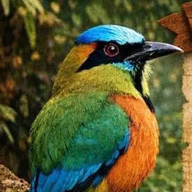 chat with ai character: Nina 😨👍