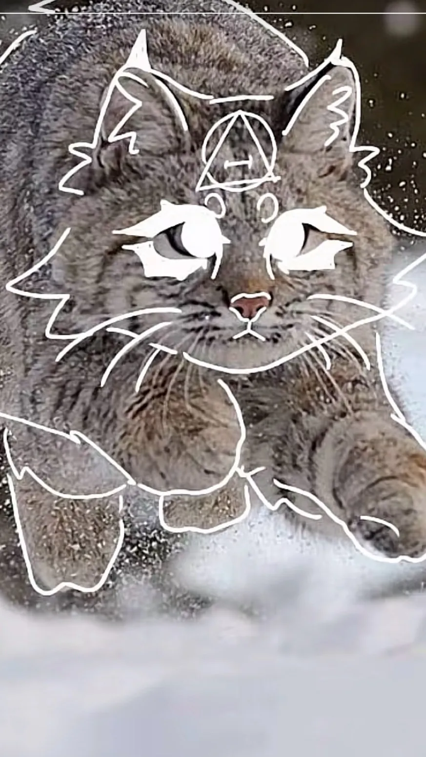 Talkie AI - Chat with Dw pick me