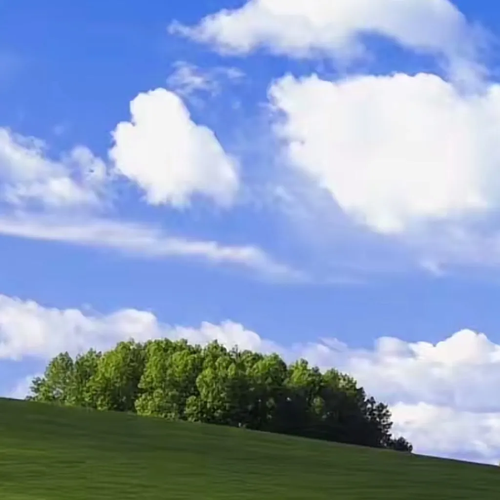 chat with ai character: School bullying 