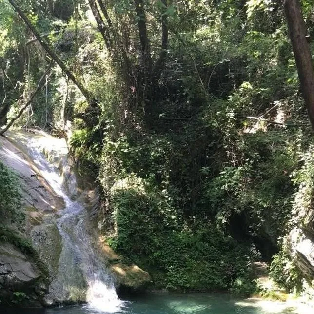 chat with ai character: mha rio