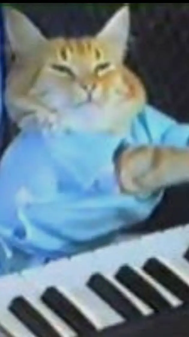 ai character: gatopiano background