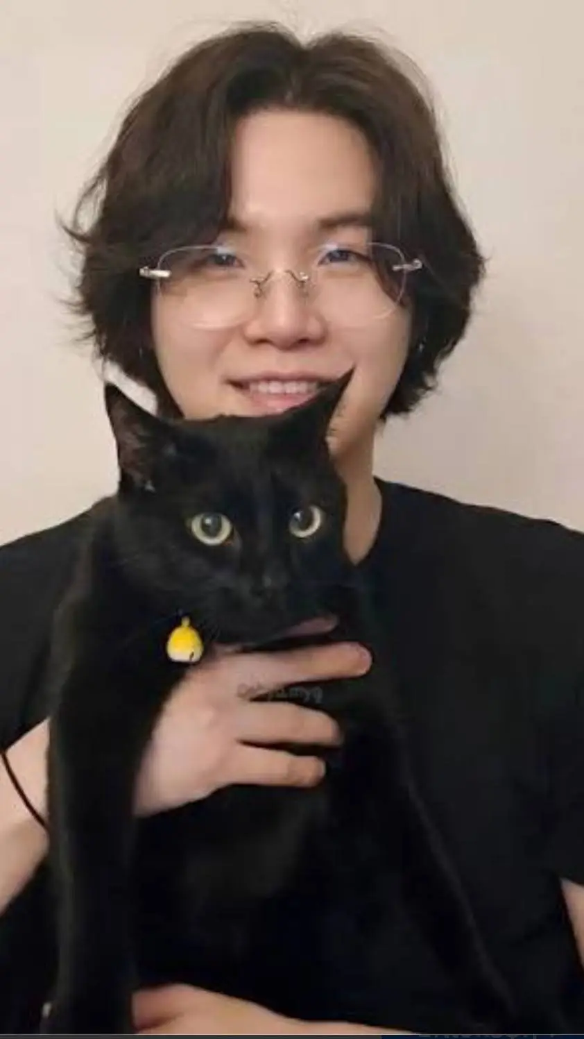 ai character: Min yoongi 's cat background