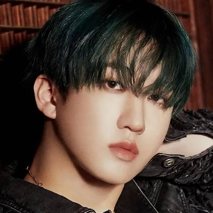 chat with ai character: Changbin