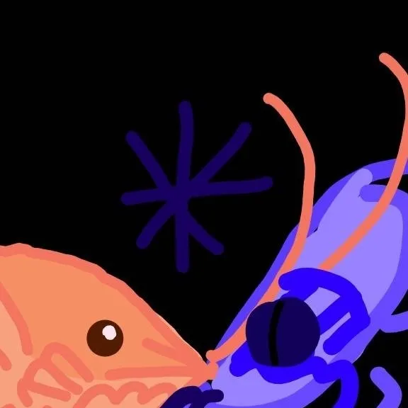 chat with ai character: Lilly love braids