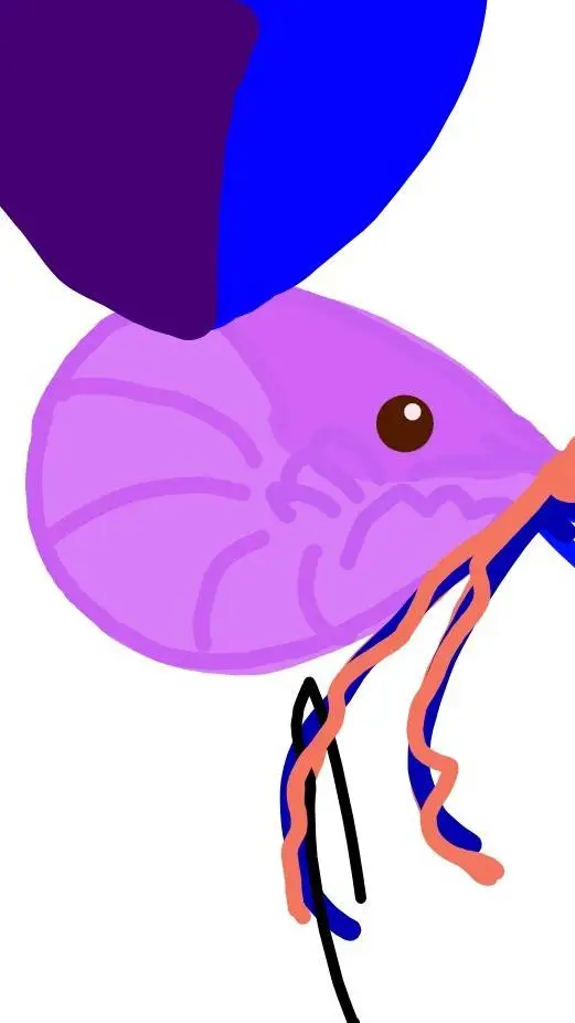 ai character: Dw mermaids  background