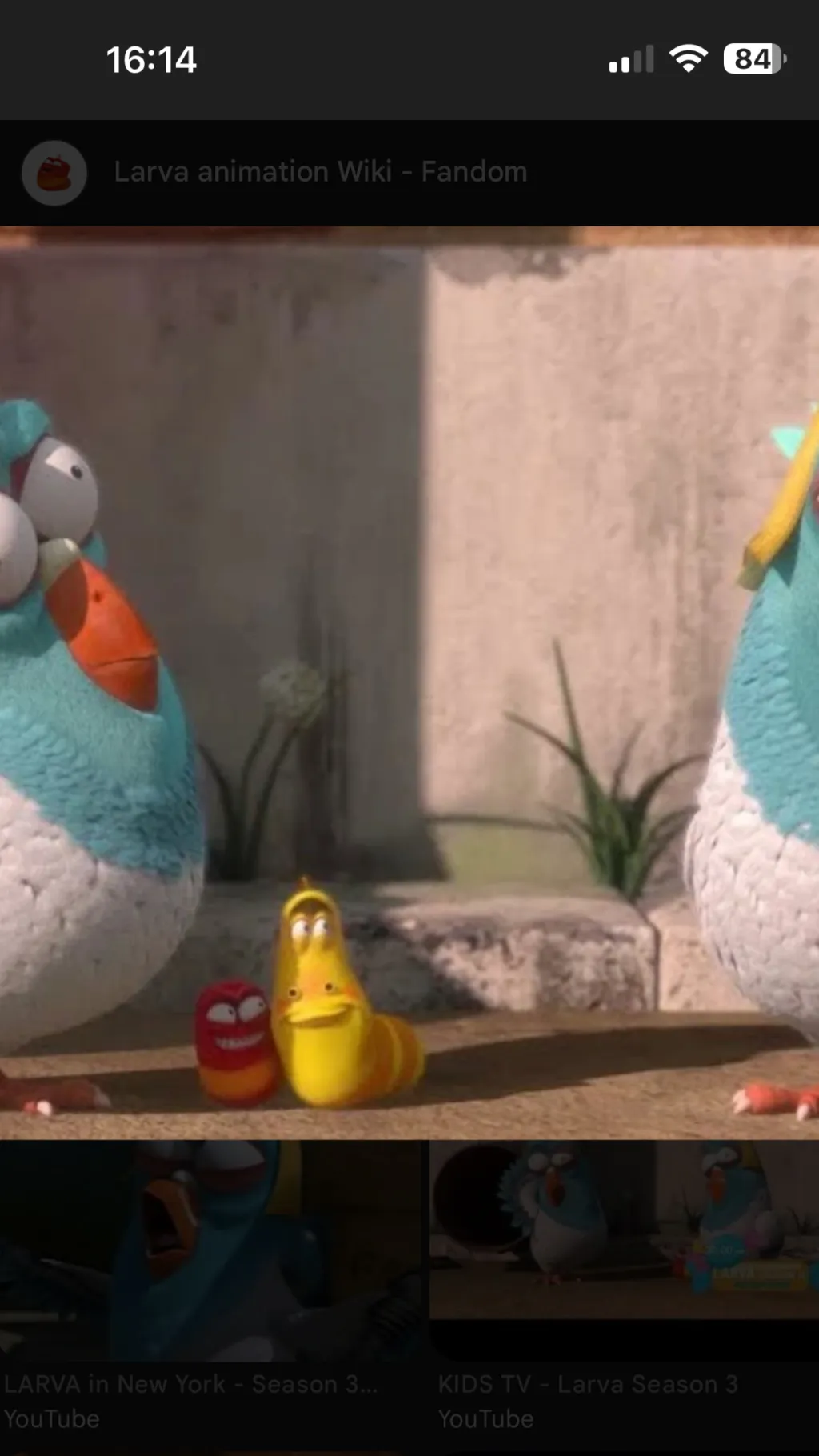 ai character: Twin pigeons background