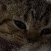 chat with ai character: Alondrisa 