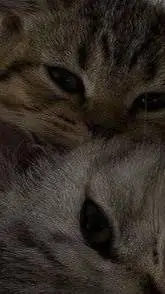 ai character: Alondrisa  background