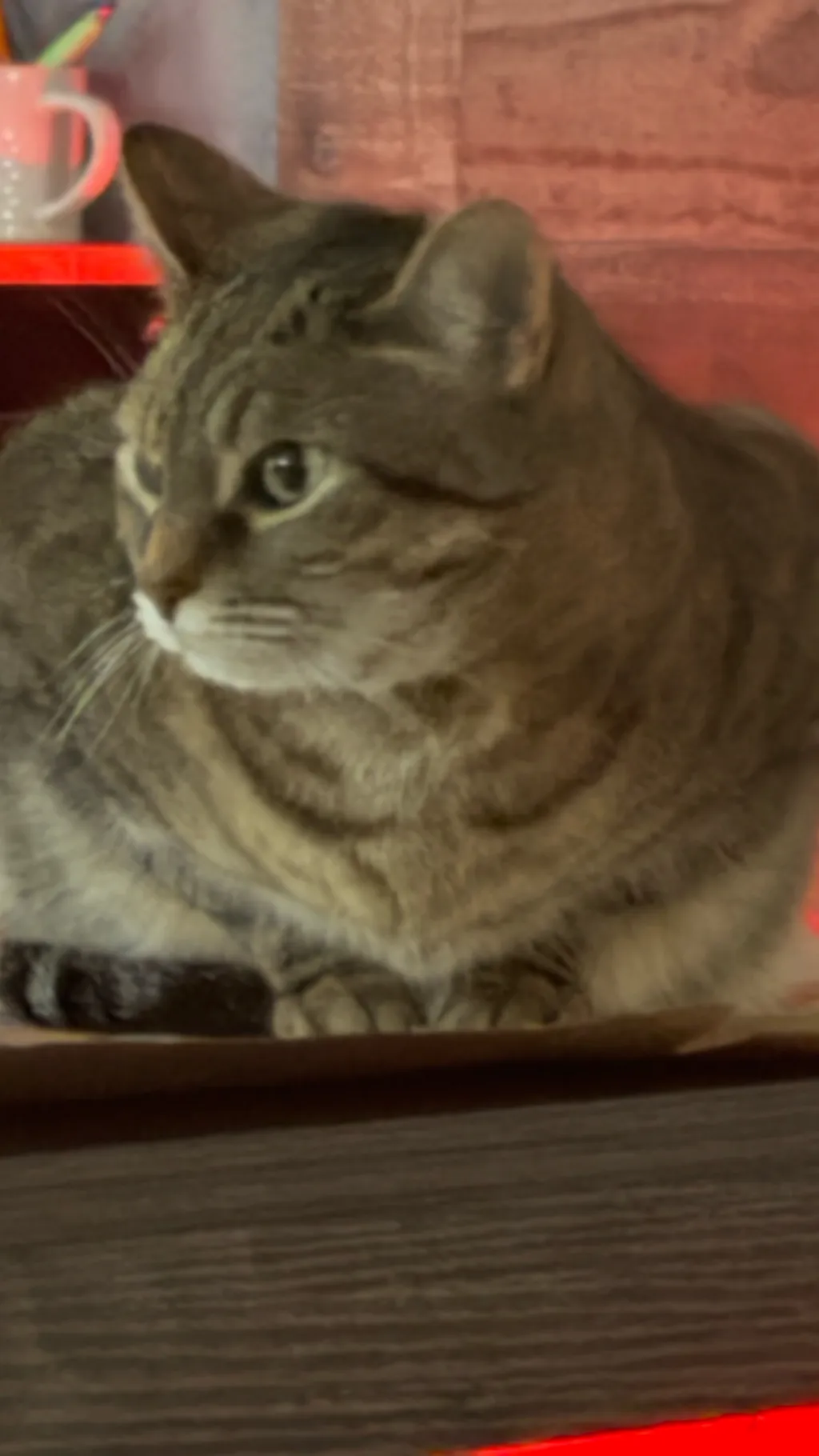 ai character: Noodle the Cube background