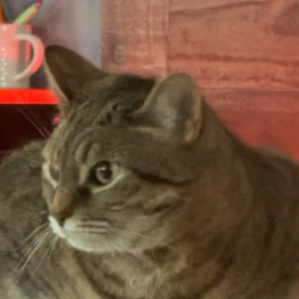 chat with ai character: Noodle the Cube