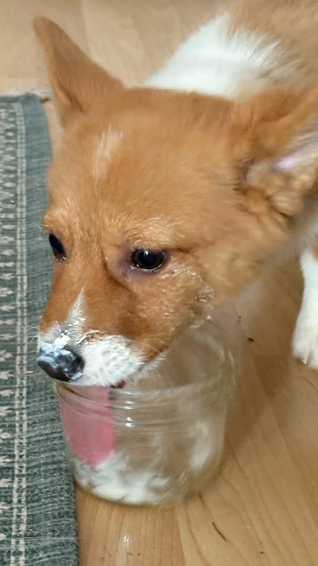 ai character: Finn, Yogurt Eater background