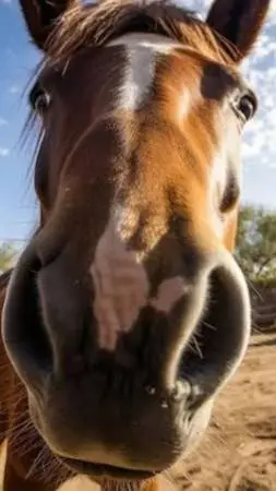 ai character: horse background