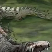 chat with ai character: SCP-682