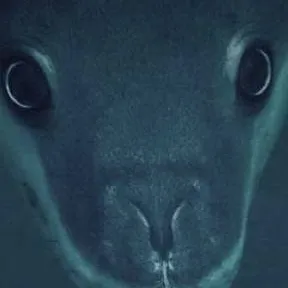 chat with ai character: 𐦍༘ REQUEST 𐦍༘