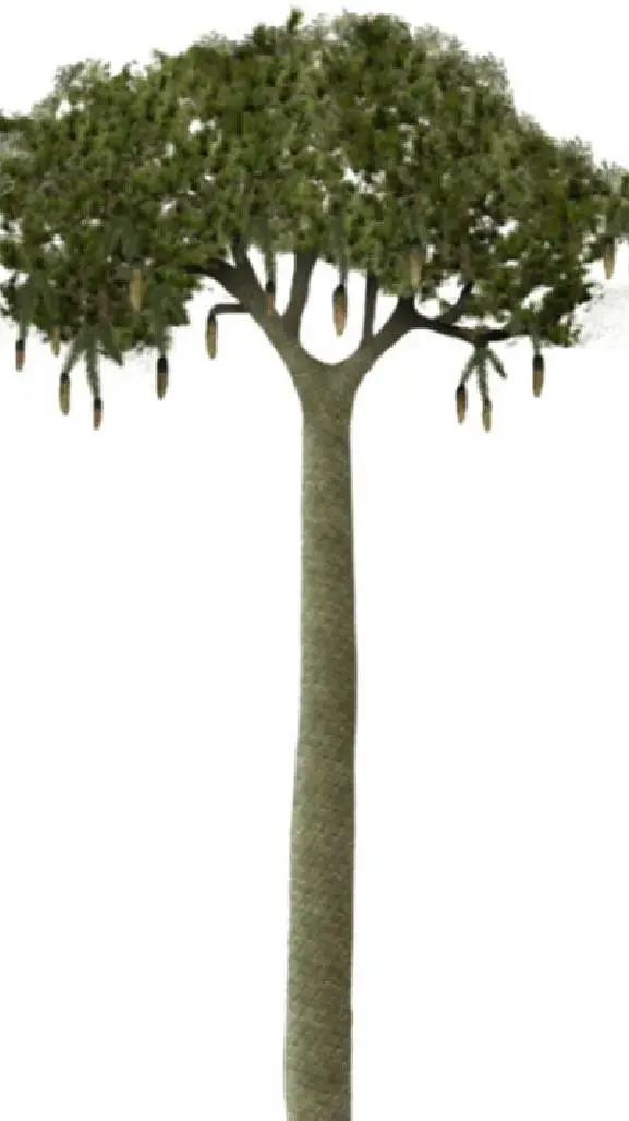 ai character: lepidodendron background