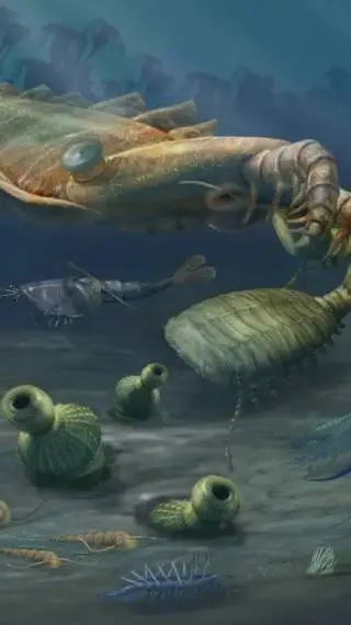 ai character: cambrian background