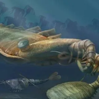 chat with ai character: cambrian