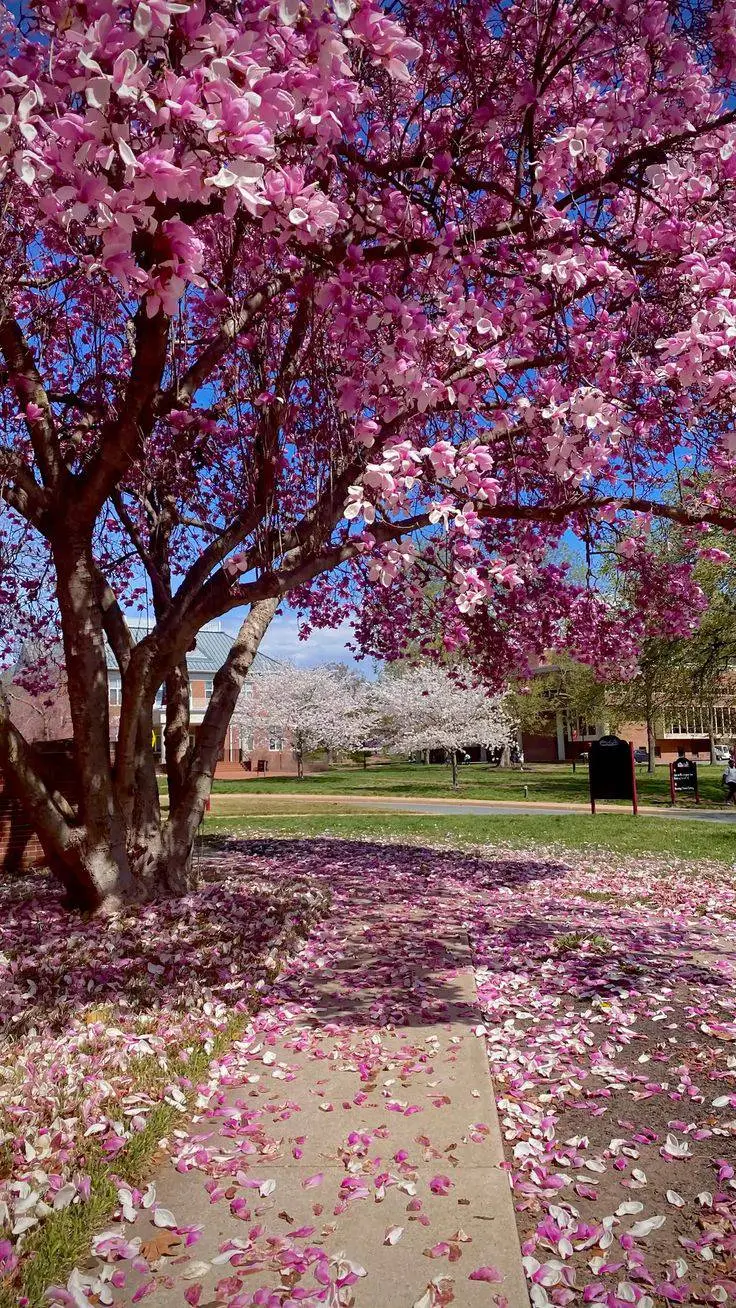 ai character: spongebob  background