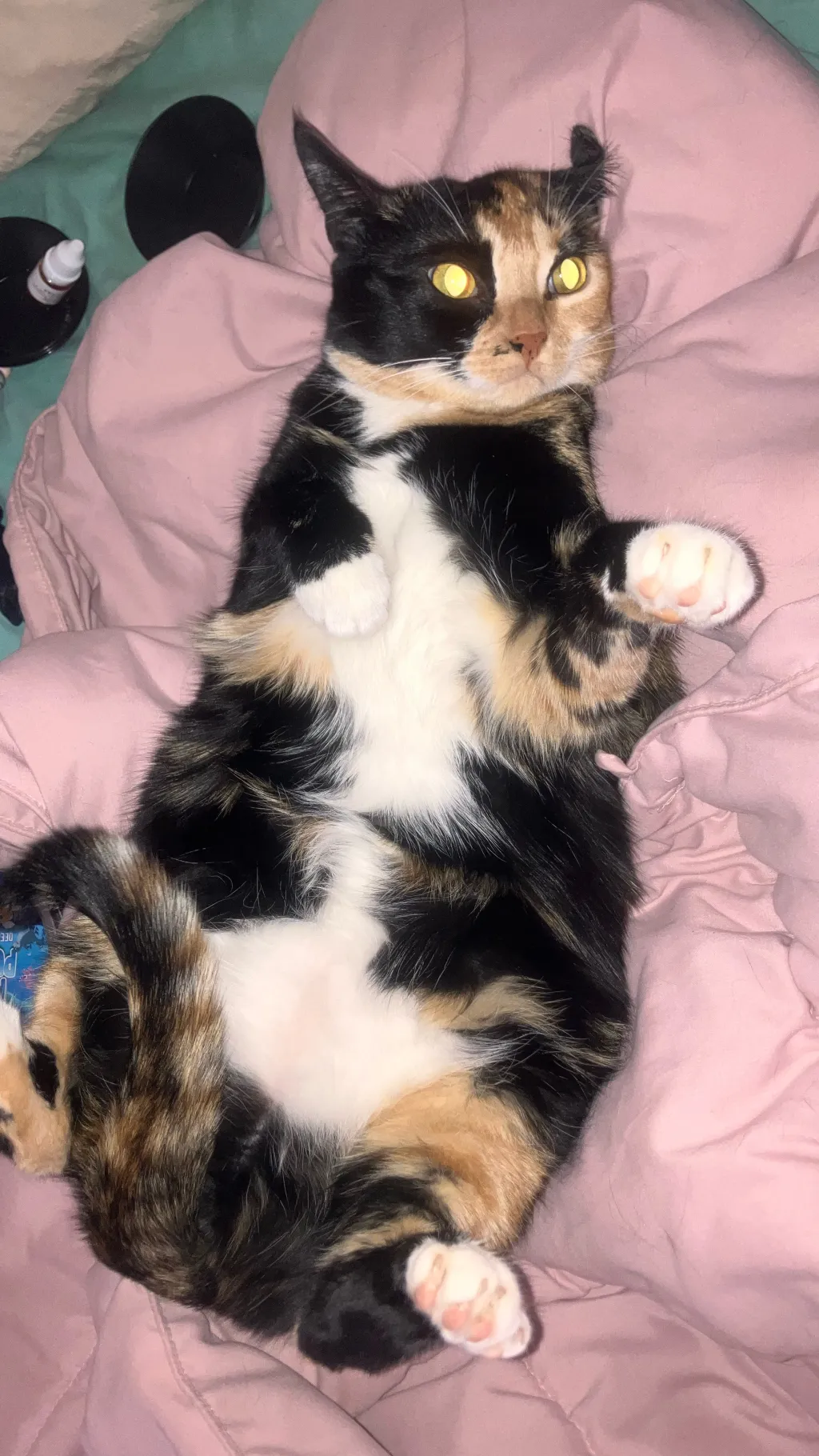 Talkie AI - Chat with Raven