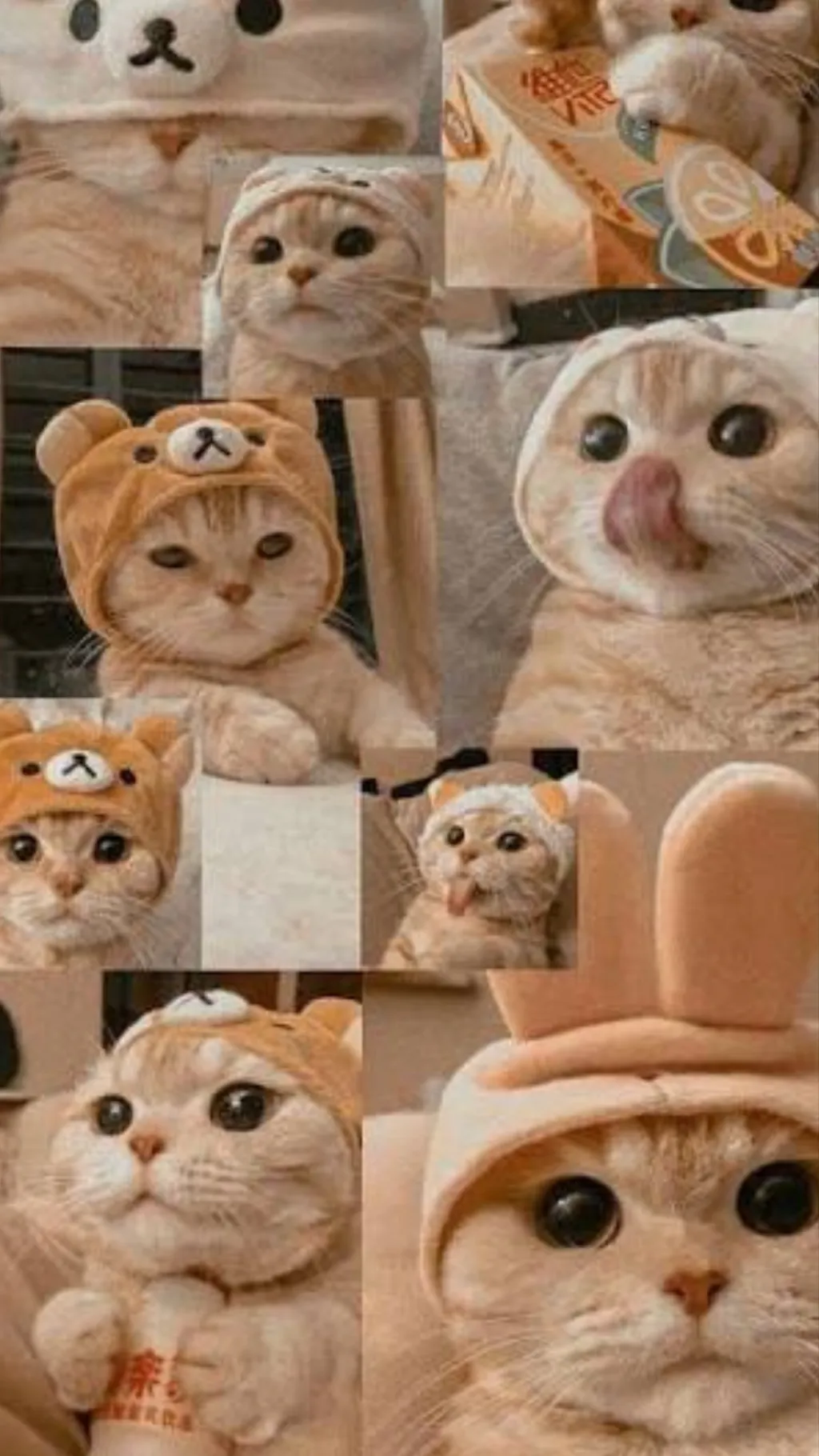 ai character: Cat infraction  background