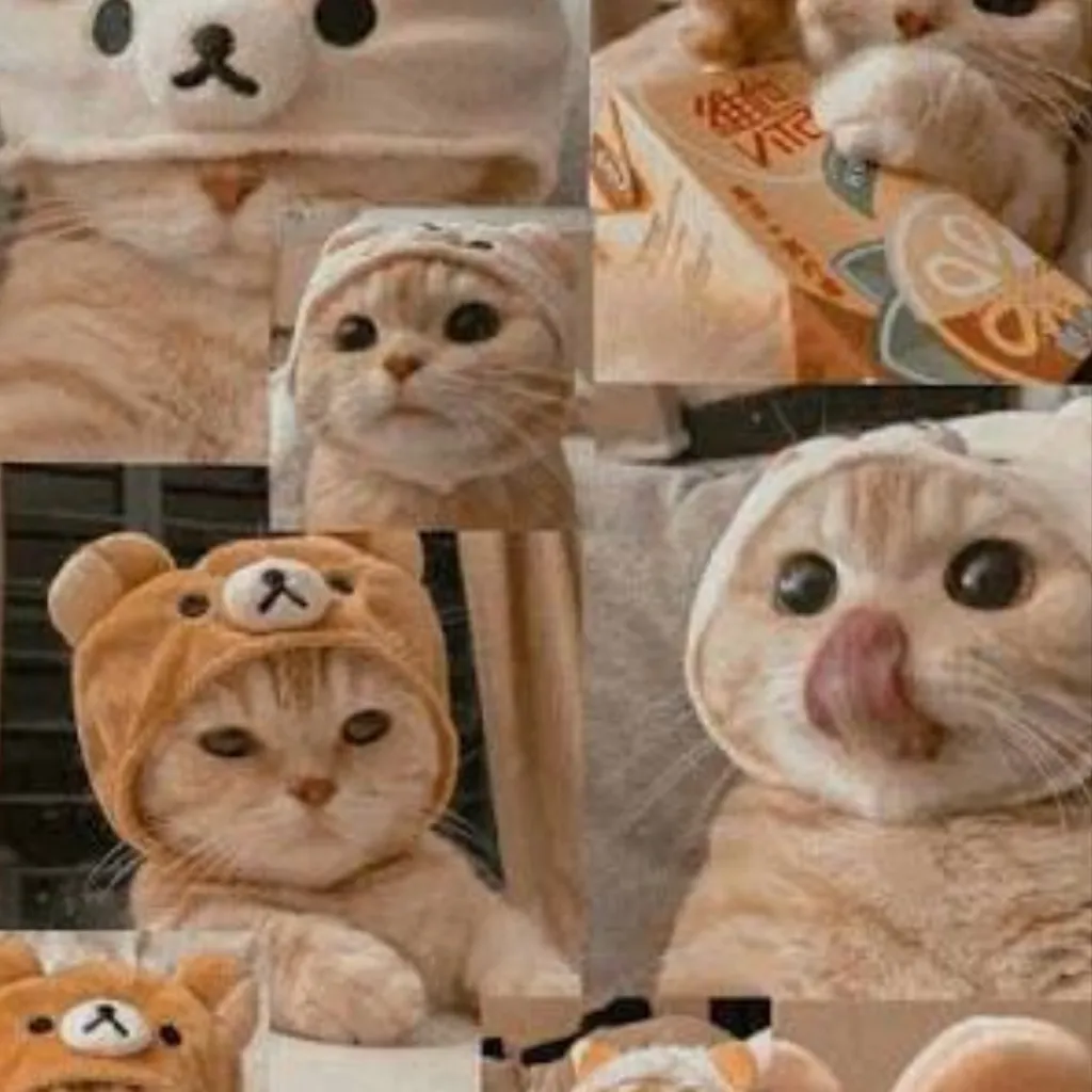 chat with ai character: Cat infraction 