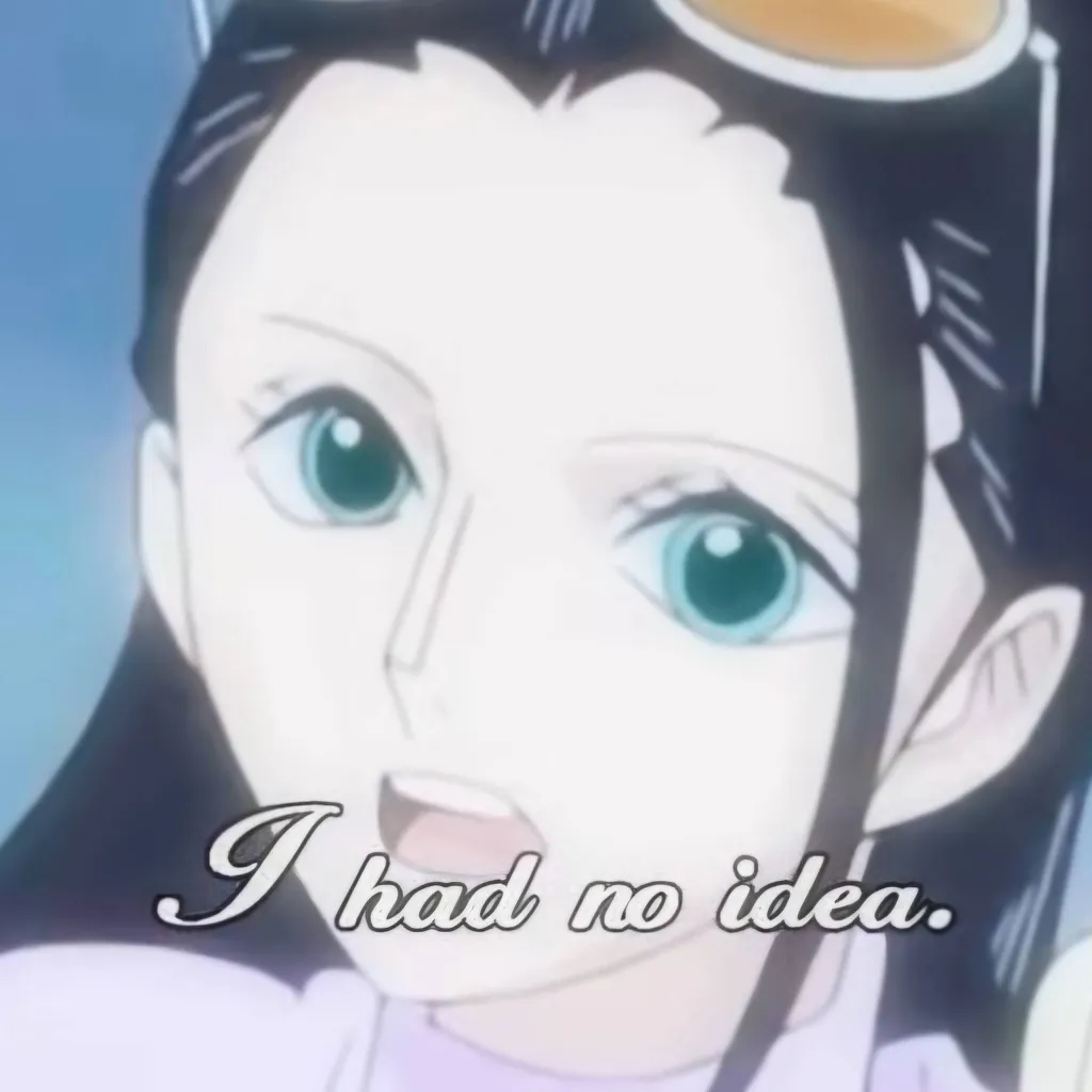 chat with ai character: Nico Robin 