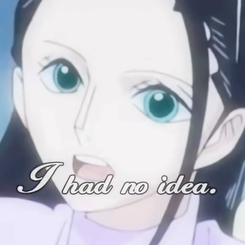 chat with ai character: Nico Robin 