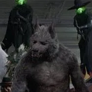 chat with ai character: hombre lobo