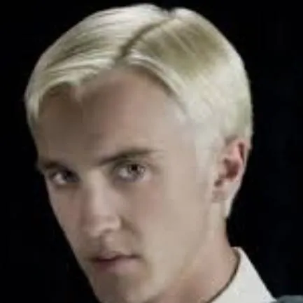 chat with ai character: Draco Malfoy 