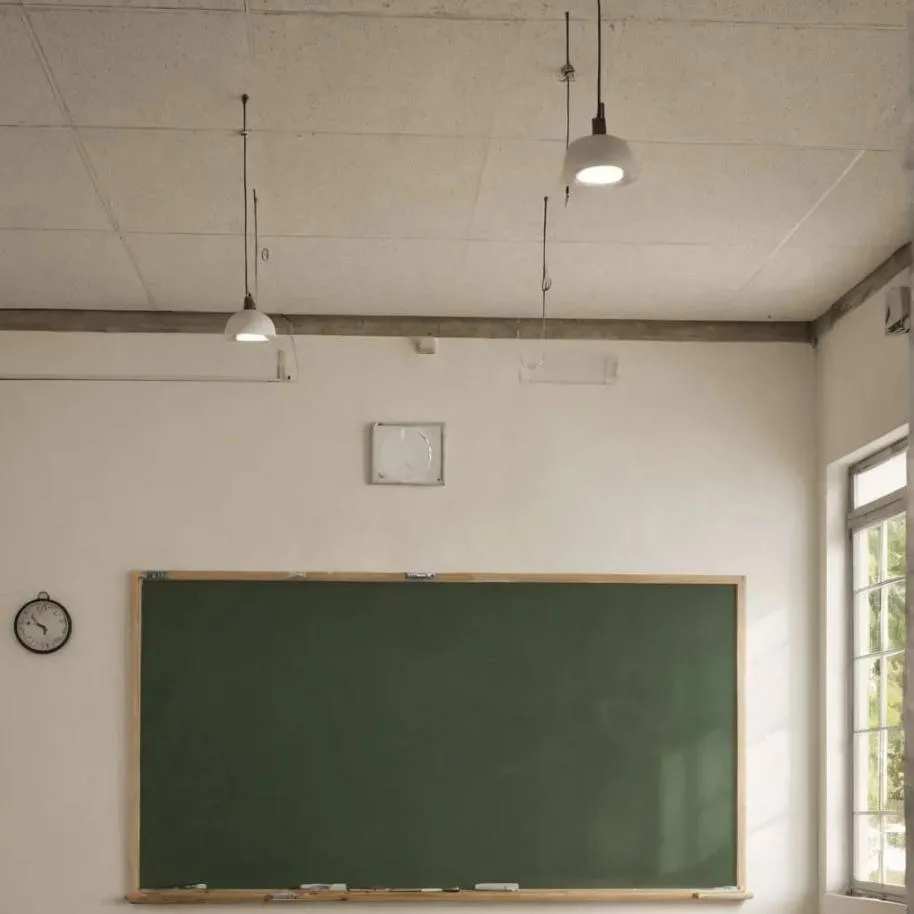 chat with ai character: Classroom 
