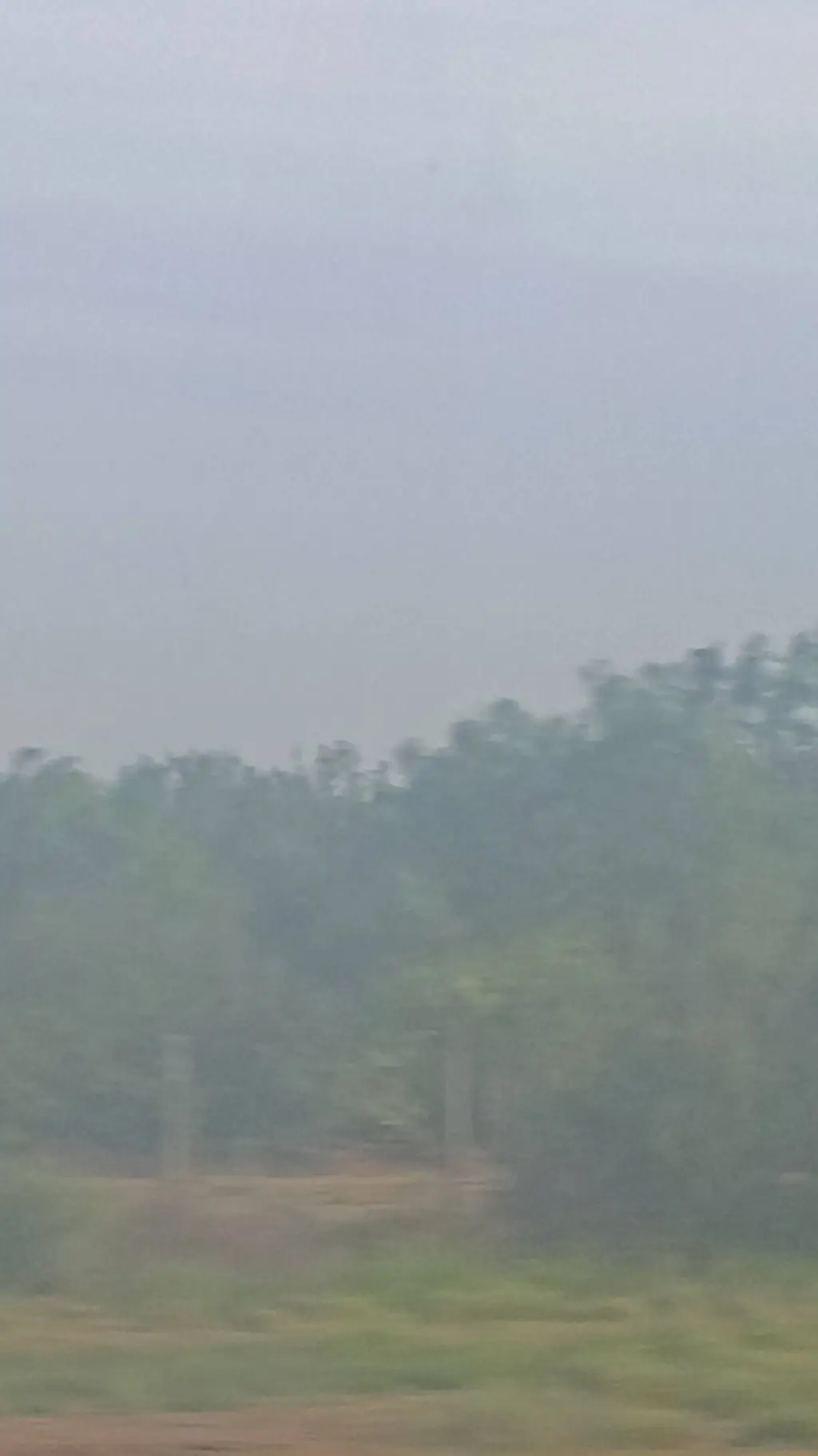 ai character: Storm chaser trip  background