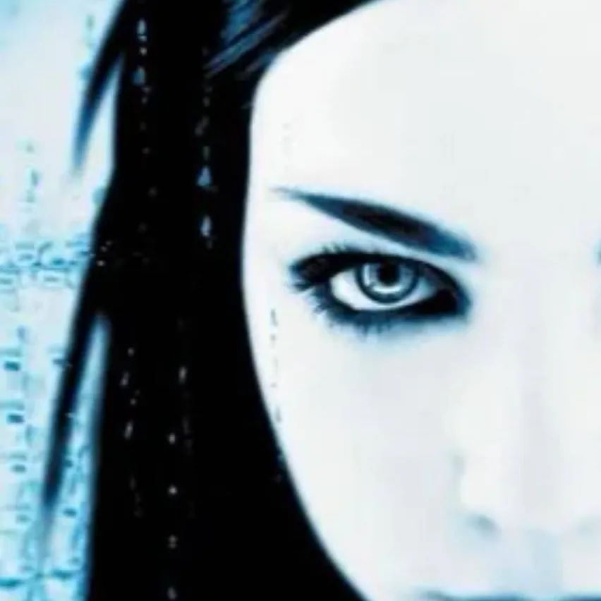 chat with ai character: Amy Lee 