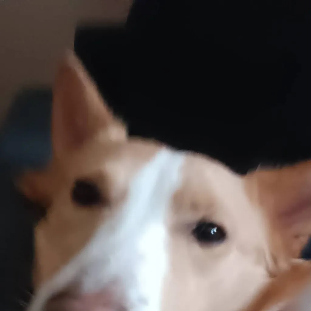 chat with ai character: max million