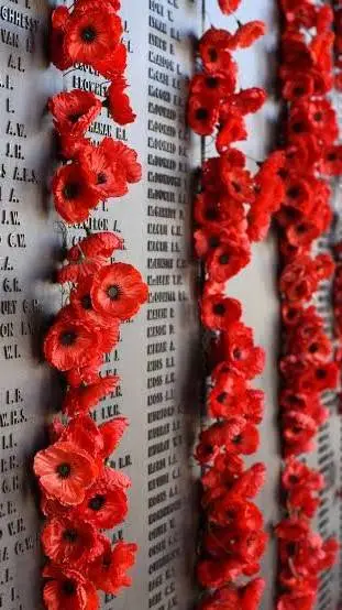 ai character: For ANZAC Day background