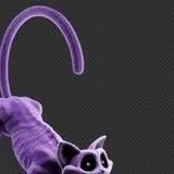 chat with ai character: CatNap