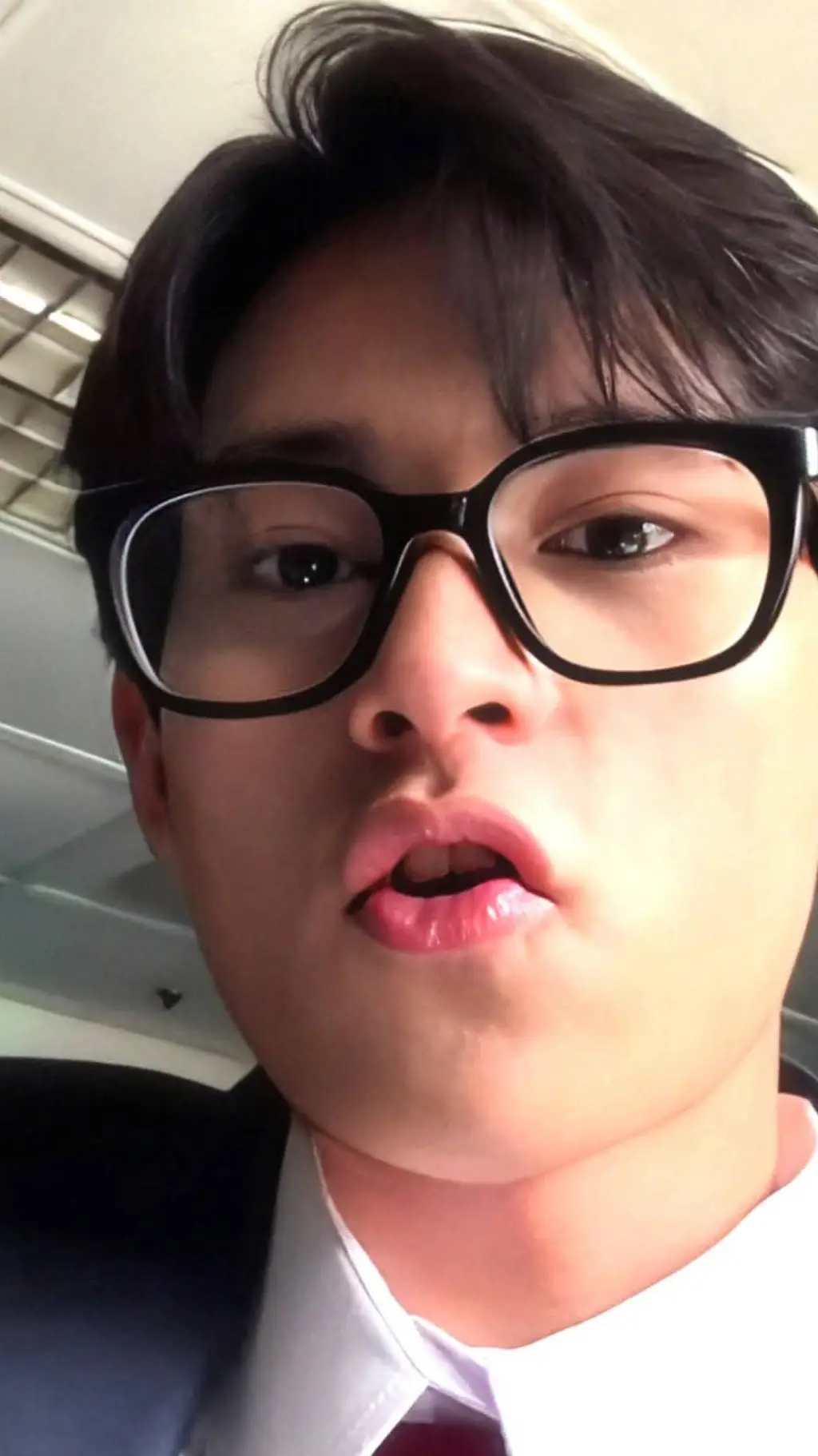 ai character: stein Alberts background