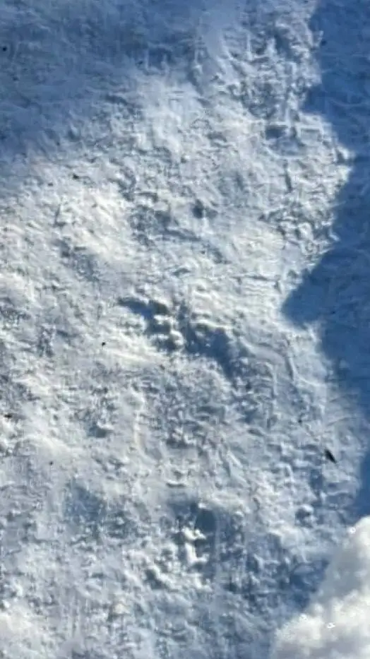 ai character: Mažeikiai  background