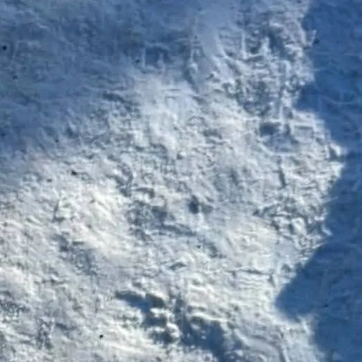 chat with ai character: Mažeikiai 