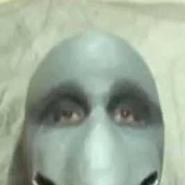 chat with ai character: dolphin man🐬🐬