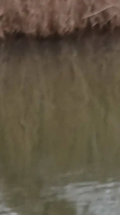 Talkie AI - Chat with mr fish