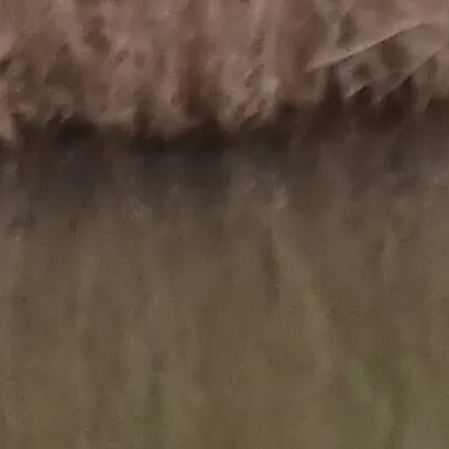 chat with ai character: mr fish