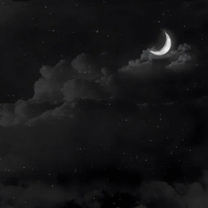 chat with ai character: junkook 