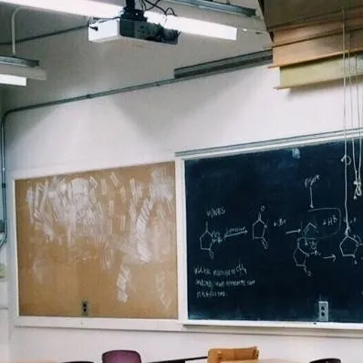 chat with ai character: school 🏫