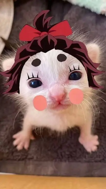 ai character: nueva pilar 😫 background