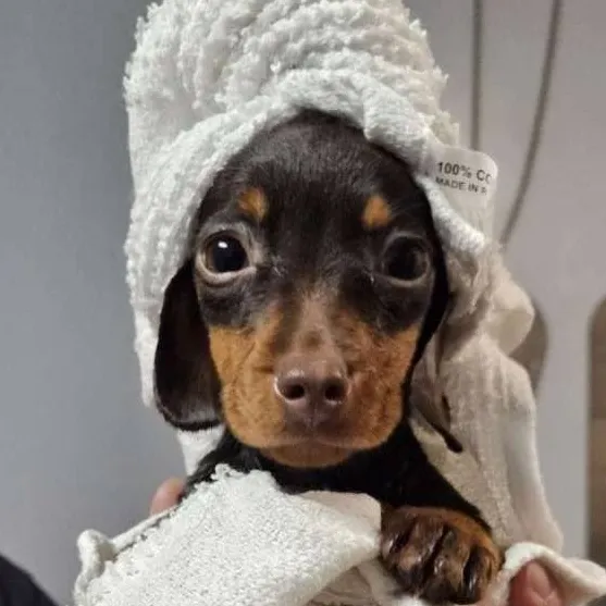 chat with ai character: Lucy