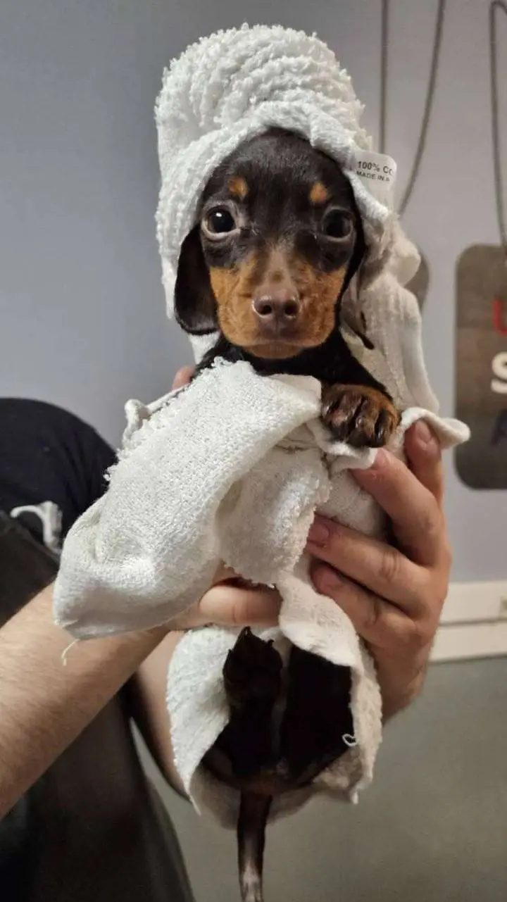 ai character: SKZPICKMEBOY background